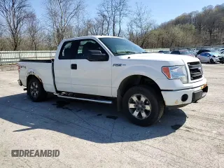 2013 Ford F-150 XL with VIN 1FTFX1EF6DFA23830, listed as a Copart auction lot 53295205 with 139,315 mi miles and Salvage Title. Bid and sale history available at carsss.com. Image 11.