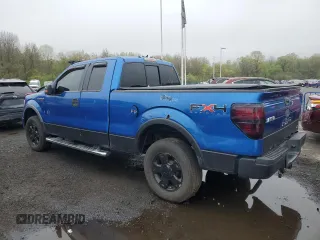 2010 Ford F-150 XL with VIN 1FTFX1EV3AFC01745, listed as a Copart auction lot 55466205 with 125,836 mi miles and Clean Title. Bid and sale history available at carsss.com. Image 2.
