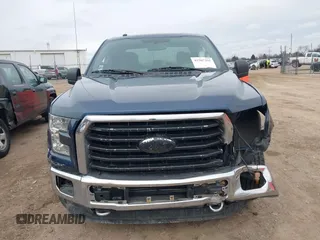 2016 Ford F-150 XLT with VIN 1FTFX1EG7GFA44487, listed as a IAAI auction lot 41507291 with 119,754 mi miles. Bid and sale history available at carsss.com. Image 12.