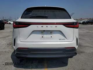 2024 Lexus NX 250 Premium with VIN JTJGDCAZ2R5015128, listed as a Copart auction lot 58384805 with 23,453 mi miles and Salvage title. Bid and sale history available at DreamBid. Image 6.