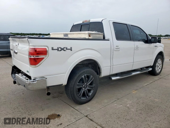 2010 Ford F-150 XL with VIN 1FTFW1EV9AFB45006, listed as a Copart auction lot 59585915 with 219,756 mi miles and Salvage title. Bid and sale history available at DreamBid. Image 3.