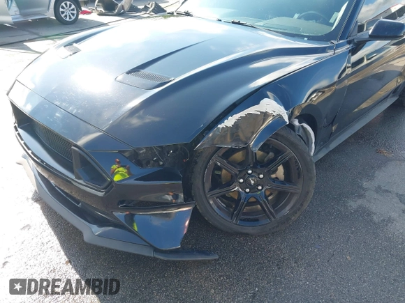 2019 Ford Mustang EcoBoost with VIN 1FA6P8THXK5124729, listed as a IAAI auction lot 42384176 with 134,028 mi miles and . Bid and sale history available at DreamBid. Image 6.