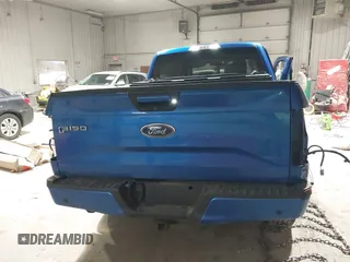 2016 Ford F-150 XLT with VIN 1FTEX1EP8GFC72915, listed as a IAAI auction lot 41199838 with 162,534 mi miles. Bid and sale history available at carsss.com. Image 16.