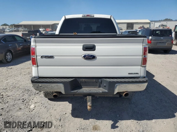 2012 Ford F-150 XL with VIN 1FTFW1EF5CFB56290, listed as a Copart auction lot 74875874 with 233,978 mi miles and Salvage title. Bid and sale history available at DreamBid. Image 6.