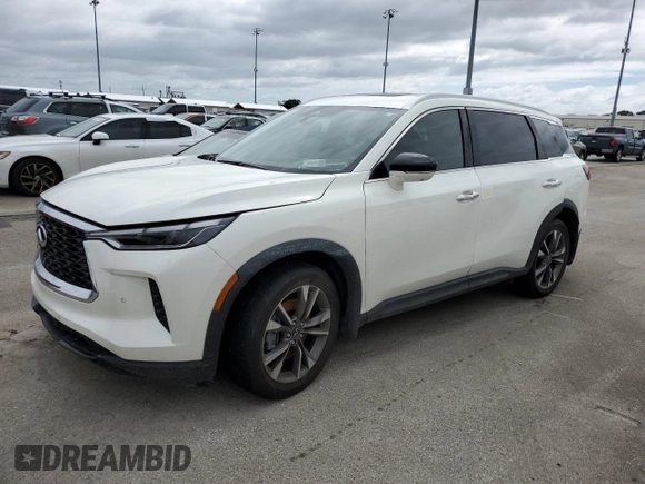 2024 Infiniti QX60 Luxe with VIN 5N1DL1FSXRC343025, listed as a Copart auction lot 74335204 with Not provided miles and Non repairable. Bid and sale history available at DreamBid. Image 1.