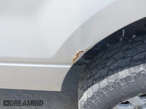 2005 Ford F-150 STX with VIN 1FTRX14W85NA00409, listed as a IAAI auction lot 42125903 with 160,230 mi miles and . Bid and sale history available at DreamBid. Image 6.