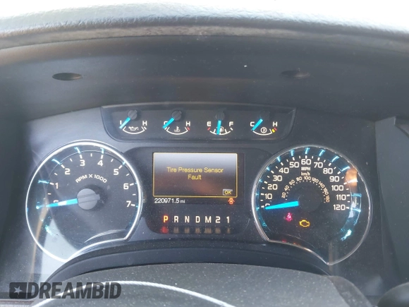 2013 Ford F-150 XL with VIN 1FTEX1CM9DFD23231, listed as a IAAI auction lot 42022012 with 220,971 mi miles. Bid and sale history available at carsss.com. Image 7.