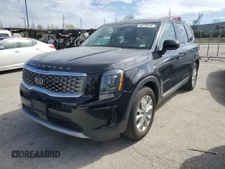 2020 Kia Telluride LX with VIN 5XYP2DHC1LG042254, listed as a Copart auction lot 46775414 with 132,724 mi miles and Salvage Title. Bid and sale history available at carsss.com. Image 1.