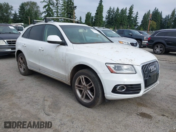2013 Audi Q5 Premium Plus with VIN WA1LFAFP7DA087380, listed as a IAAI auction lot 42639650 with 132,744 mi miles and . Bid and sale history available at DreamBid. Image 1.