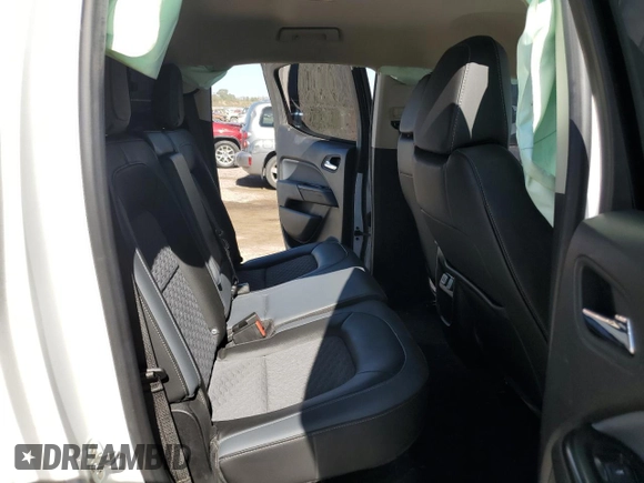 2021 Chevrolet Colorado 2WD Z71 with VIN 1GCGSDEN7M1201219, listed as a Copart auction lot 61310215 with 184,819 mi miles and Salvage title. Bid and sale history available at DreamBid. Image 10.