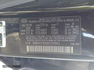 2009 Hyundai Santa Fe SE with VIN 5NMSH13E69H325943, listed as a IAAI auction lot 41813153 with 176,514 mi miles. Bid and sale history available at carsss.com. Image 9.