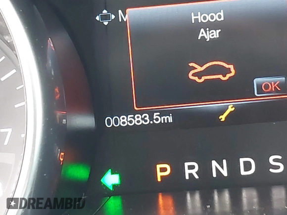 2020 Ford Mustang GT with VIN 1FA6P8CF7L5182295, listed as a IAAI auction lot 41006471 with 8,583 mi miles and . Bid and sale history available at DreamBid. Image 15.