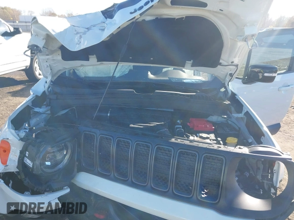 2023 Jeep Renegade Trailhawk with VIN ZACNJDC17PPP43822, listed as a IAAI auction lot 41081187 with 9,256 mi miles and . Bid and sale history available at DreamBid. Image 10.