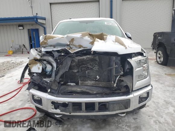 2016 Ford F-150 XLT with VIN 1FTEX1EP0GKE32809, listed as a Copart auction lot 42613805 with 0 mi miles and Clean Title. Bid and sale history available at carsss.com. Image 5.