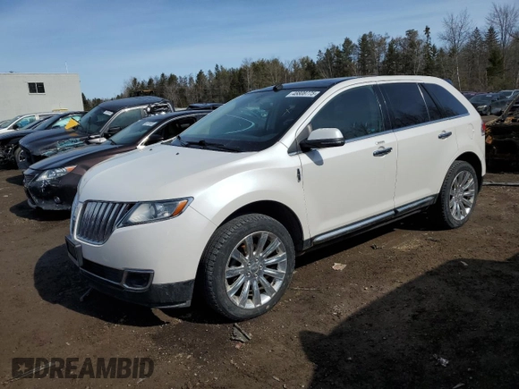 2014 Lincoln MKX with VIN 2LMDJ8JK1EBL19698, listed as a Copart auction lot 48808775 with 165,761 mi miles and Clean Title. Bid and sale history available at DreamBid. Image 1.