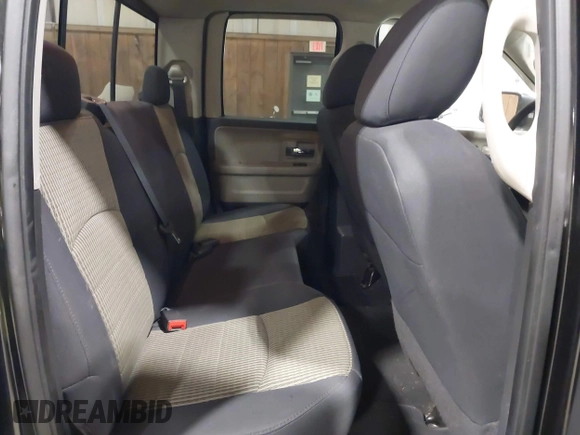 2010 Dodge 1500 SLT with VIN 1D7RV1GP9AS133739, listed as a IAAI auction lot 41935213 with 293,043 mi miles and . Bid and sale history available at DreamBid. Image 8.