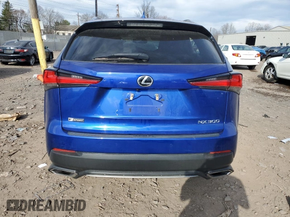 2020 Lexus NX with VIN JTJSARDZ2L2223679, listed as a Copart auction lot 46515665 with 55,746 mi miles and Salvage Title. Bid and sale history available at carsss.com. Image 6.