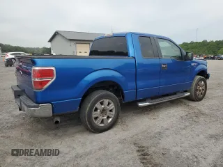 2009 Ford F-150 STX with VIN 1FTRX128X9FB21799, listed as a Copart auction lot 58263855 with 214,192 mi miles and Salvage title. Bid and sale history available at DreamBid. Image 3.