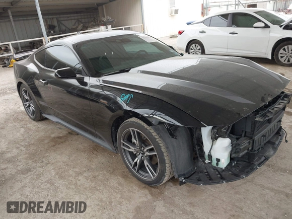 2024 Ford Mustang EcoBoost with VIN 1FA6P8TH2R5109961, listed as a IAAI auction lot 42265834 with 16,688 mi miles and . Bid and sale history available at DreamBid. Image 1.