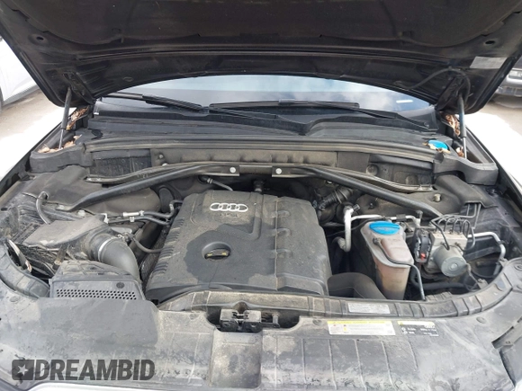 2014 Audi Q5 Premium Plus with VIN WA1LFAFP0EA039656, listed as a IAAI auction lot 41515060 with 135,241 mi miles and . Bid and sale history available at DreamBid. Image 10.