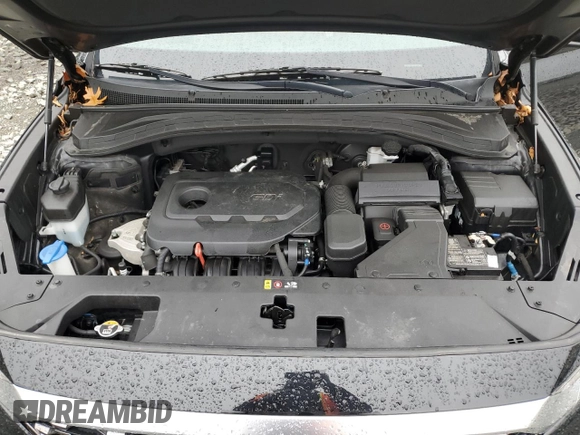 2020 Hyundai Santa Fe SE with VIN 5NMS2CAD1LH232892, listed as a Copart auction lot 56045055 with 40,211 mi miles and Salvage title. Bid and sale history available at DreamBid. Image 12.