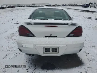 2004 Pontiac Grand Am SE1 with VIN 1G2NF52E24M543363, listed as a Copart auction lot 83989194 with 113,601 mi miles and Salvage Title. Bid and sale history available at carsss.com. Image 6.