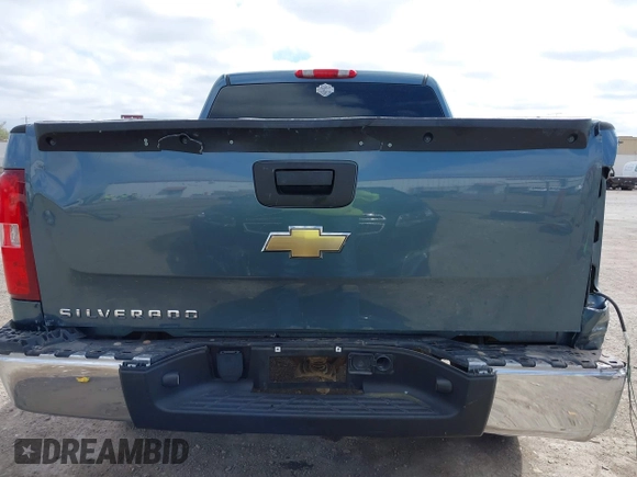 2007 Chevrolet Silverado 1500 LS with VIN 2GCEC13C071544988, listed as a IAAI auction lot 41908784 with 161,463 mi miles and . Bid and sale history available at DreamBid. Image 17.