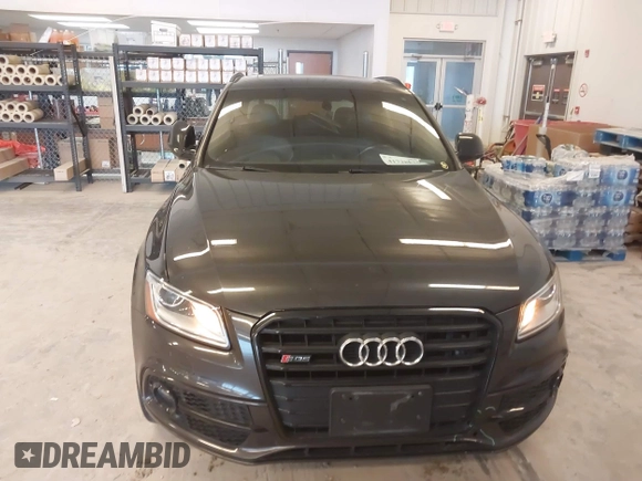 2017 Audi SQ5 Premium Plus with VIN WA1CCAFP5HA041755, listed as a IAAI auction lot 41728825 with 135,512 mi miles. Bid and sale history available at carsss.com. Image 12.