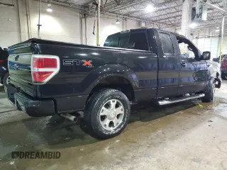 2010 Ford F-150 XL with VIN 1FTEX1EW1AFA40963, listed as a Copart auction lot 48222415 with Not Provided miles and Clean Title. Bid and sale history available at DreamBid. Image 3.