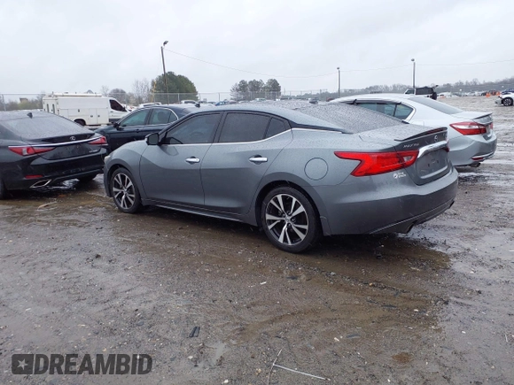 2016 Nissan Maxima SL with VIN 1N4AA6AP0GC419870, listed as a IAAI auction lot 41745259 with 128,151 mi miles and . Bid and sale history available at DreamBid. Image 3.