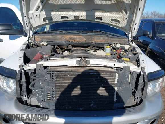 2003 Dodge 3500 ST with VIN 3D7LA38C23G735417, listed as a IAAI auction lot 41275936 with 235,021 mi miles and . Bid and sale history available at DreamBid. Image 10.