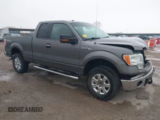 2013 Ford F-150 XL with VIN 1FTFX1EF9DFA92897, listed as a IAAI auction lot 41941968 with 207,752 mi miles. Bid and sale history available at carsss.com. Image 1.