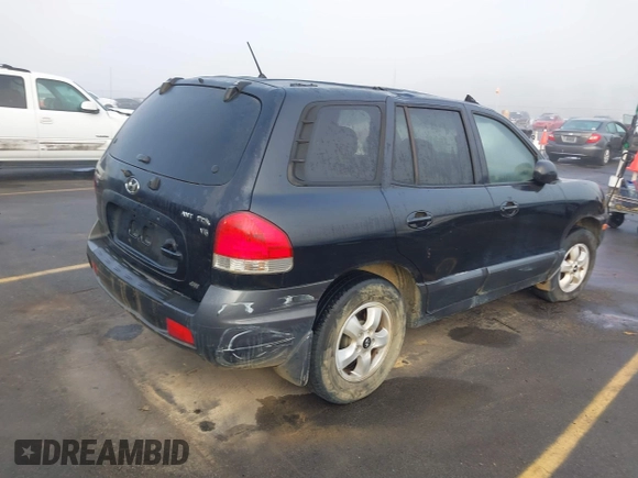 2005 Hyundai Santa Fe GLS with VIN KM8SC73D45U994851, listed as a IAAI auction lot 40705312 with 135,459 mi miles. Bid and sale history available at carsss.com. Image 4.