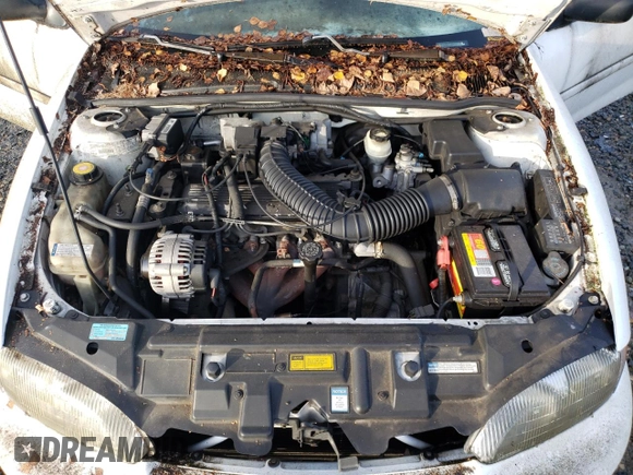 1997 Chevrolet Cavalier with VIN 4G1JF324XVB103224, listed as a Copart auction lot 77187614 with 102,866 mi miles and Clean Title. Bid and sale history available at DreamBid. Image 11.