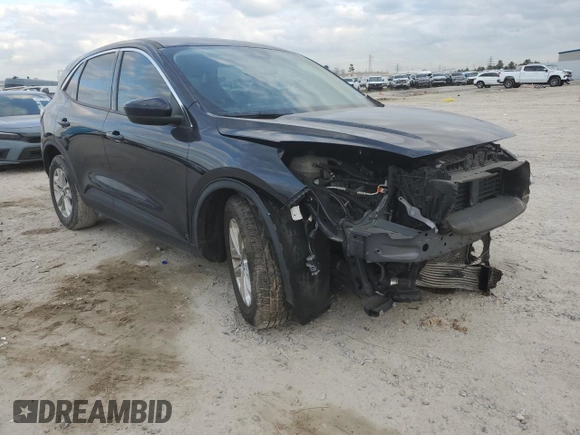 2021 Ford Escape SE с VIN 1FMCU0G69MUA99066, выставлен на аукционе Copart как лот 44684655 с пробегом 95 376 миль миль и Списание • Salvage title. История ставок и продаж доступна на DreamBid. Изображение 4.
