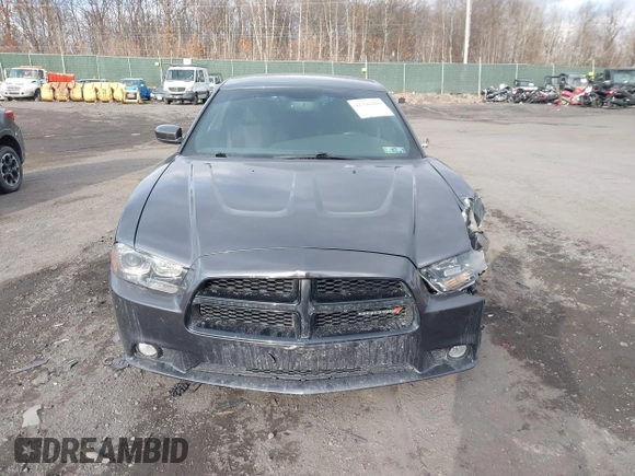 2014 Dodge Charger RT Plus with VIN 2C3CDXDTXEH244650, listed as a IAAI auction lot 41320486 with 126,493 mi miles. Bid and sale history available at carsss.com. Image 12.