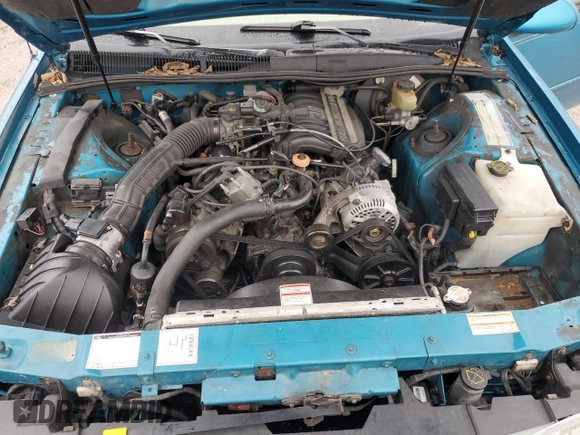 1994 Ford Thunderbird LX with VIN 1FALP6243RH223519, listed as a Copart auction lot 80962814 with 125,016 mi miles and Salvage Title. Bid and sale history available at DreamBid. Image 11.