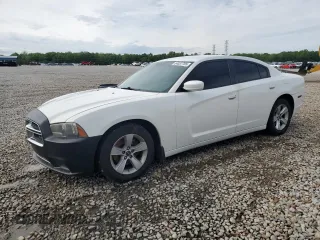 2014 Dodge Charger SE with VIN 2C3CDXBGXEH312192, listed as a Copart auction lot 54037785 with 168,626 mi miles and Salvage Title. Bid and sale history available at DreamBid. Image 1.