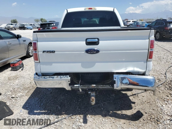 2009 Ford F-150 XL z VIN 1FTPW12V49KC61077, wystawiony jako Copart lot #60334045 z przebiegiem 135 014 mil mil oraz Szkoda całkowita • Salvage title. Historia ofert i sprzedaży dostępna na DreamBid. Obrazek 6.