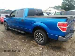 2009 Ford F-150 XL with VIN 1FTRW12W39FA11159, listed as a IAAI auction lot 42445358 with 108,599 mi miles and . Bid and sale history available at DreamBid. Image 3.
