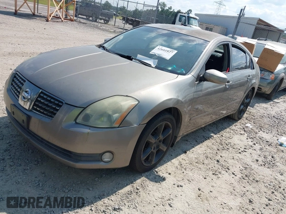 2004 Nissan Maxima SE with VIN 1N4BA41EX4C818420, listed as a IAAI auction lot 42601827 with 179,196 mi miles and . Bid and sale history available at DreamBid. Image 2.