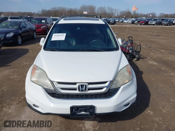 2010 Honda CR-V EX with VIN 5J6RE4H5XAL805675, listed as a IAAI auction lot 41828542 with 109,499 mi miles. Bid and sale history available at carsss.com. Image 12.