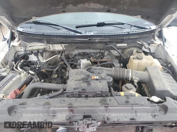 2009 Ford F-150 STX with VIN 1FTRX12W09FA04019, listed as a Copart auction lot 58752715 with 222,820 mi miles and Clean title. Bid and sale history available at DreamBid. Image 11.