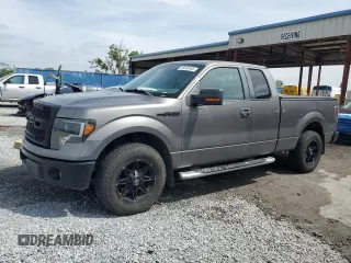 2010 Ford F-150 XL with VIN 1FTEX1C82AFA77962, listed as a Copart auction lot 50292485 with 247,385 mi miles and Salvage Title. Bid and sale history available at carsss.com. Image 1.
