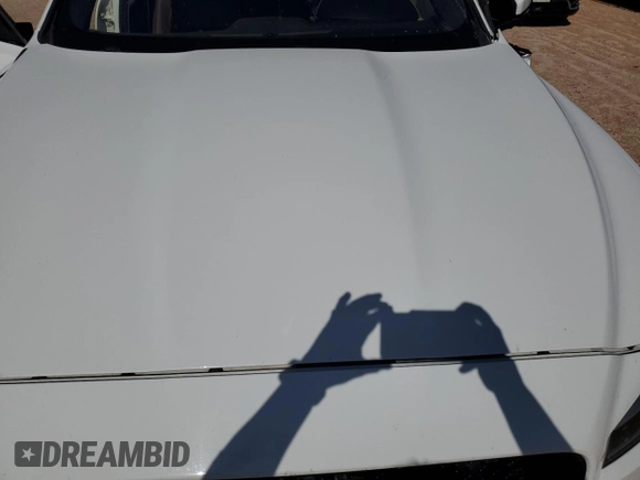 2019 Jaguar F-Pace S with VIN SADCM2FV2KA358900, listed as a Copart auction lot 55608875 with Not provided miles and Salvage title. Bid and sale history available at DreamBid. Image 12.