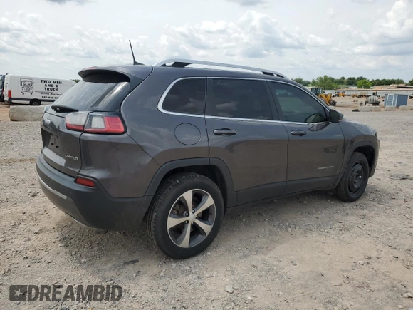 2019 Jeep Cherokee Limited with VIN 1C4PJMDN1KD259536, listed as a Copart auction lot 60029695 with 117,294 mi miles and Salvage title. Bid and sale history available at DreamBid. Image 3.