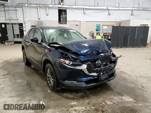 2020 Mazda CX-30 with VIN 3MVDMBBL0LM114783, listed as a Copart auction lot 50521185 with 48,769 mi miles and Salvage Title. Bid and sale history available at DreamBid. Image 11.