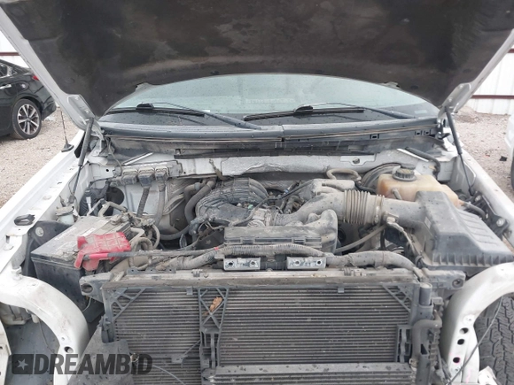 2013 Ford F-150 XL with VIN 1FTMF1CM9DKE77332, listed as a IAAI auction lot 41930373 with 203,683 mi miles and . Bid and sale history available at carsss.com. Image 10.