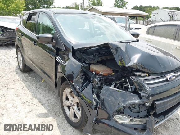 2014 Ford Escape SE with VIN 1FMCU9G93EUD42449, listed as a IAAI auction lot 42399275 with 166,868 mi miles and . Bid and sale history available at DreamBid. Image 6.
