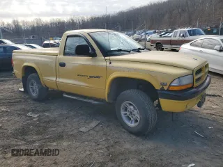 1999 Dodge Dakota with VIN 1B7GG26X4XS136110, listed as a Copart auction lot 46273105 with Not Provided miles and Salvage Title. Bid and sale history available at carsss.com. Image 4.